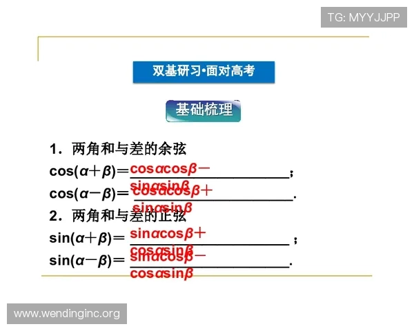 问鼎国际首页:提升网站流量与用户粘性的实用优化策略详解
